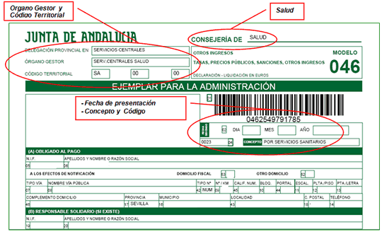 modelo 046 ejemplo