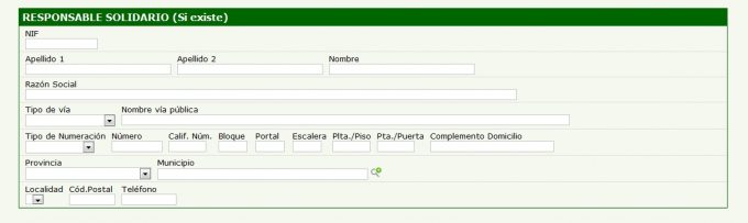 modelo 046 responsable solidario